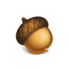 Acorn